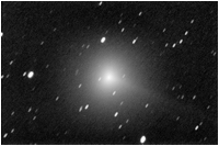 Comet Boattini